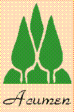 Acumen Logo