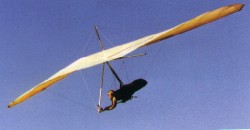 Avian Rio