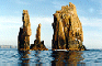 The Drongs from the sea
