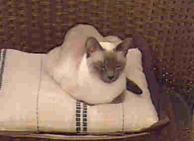 {short description of image}