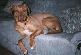 She thinks she's human!