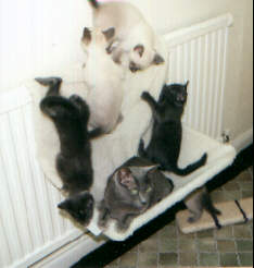 Misha with mum and siblings