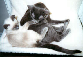 In their favourite place!