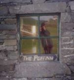 Reflection in the Puffinn window