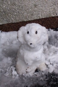 A little dog made out of snow