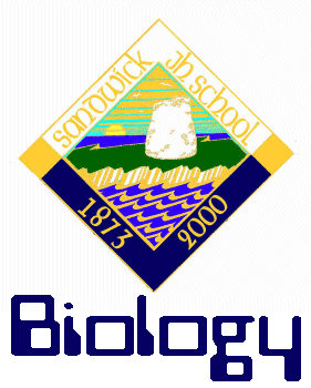 Biology Department Motif