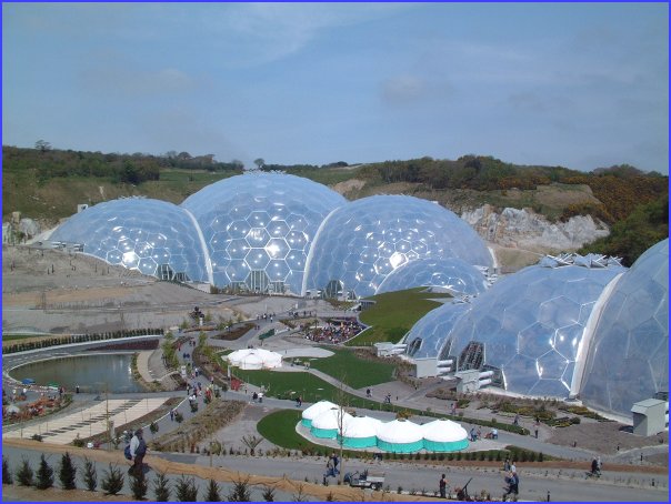 The Biomes