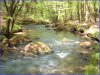 Golitha Falls