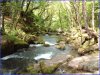 Golitha Falls