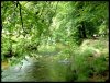 Golitha Falls