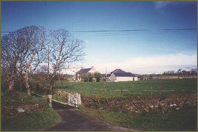 View from the house