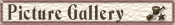 Picture Gallery