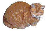 Cat2.gif (4703 bytes)