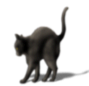 cat.gif (5095 bytes)