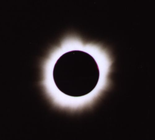 corona1.jpeg (8481 bytes)