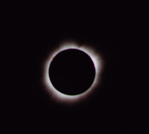 corona3.jpeg (5631 bytes)