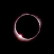 small_ring2.jpeg (1818 bytes)
