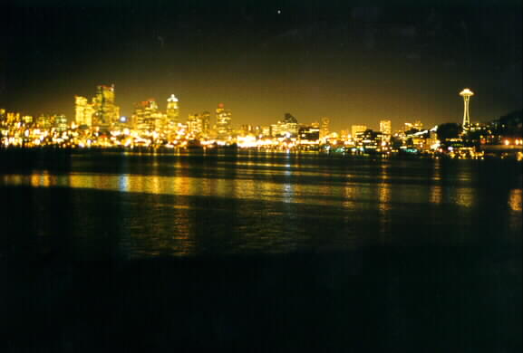 Seattle by moonlight