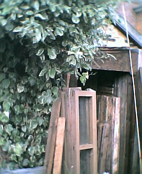 The lean-to: prevents the shed from falling over.