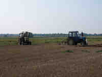 thumbnail link to - tractors having a snooze.