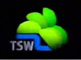 TSW Index