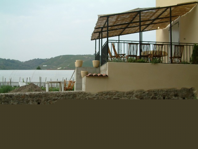 Terrace. Ampuis. 16 August.