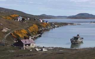 The Falkland Islands