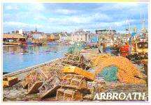 The harbour in Arbroath - picturesque and productive.