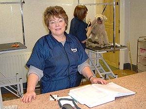 Lilian welcomes you and your dog to Groomers