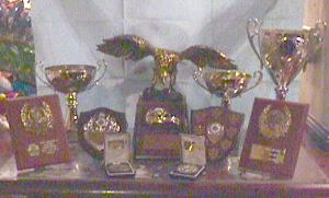 The Collection of Trophies