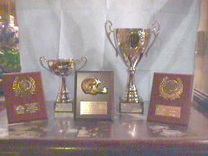 A selection of the club's trophies.