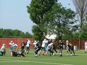 The ball heads through the posts while Marshall is upended.