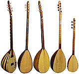 Andy Roberts Saz