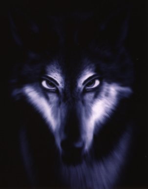 Would you offer your throat...?