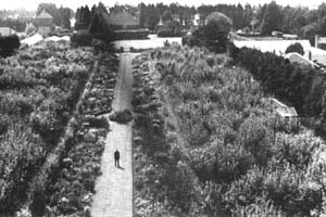 Southerly aspect at Timbers