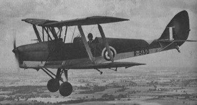 Tiger Moth