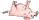 Pig icon