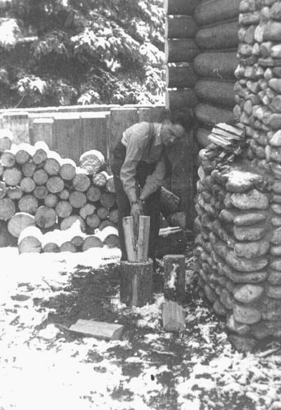 Cutting the logs