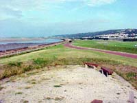 {short description of image}