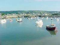 {short description of image}