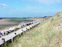 {short description of image}