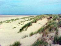 {short description of image}