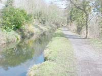 {short description of image}