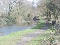 {short description of image}