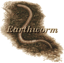 Earthworm